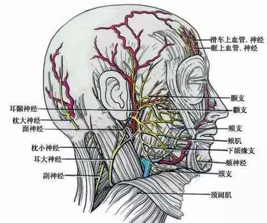 同时治好三病:面肌痉挛 神经痛 耳鸣,显微血管减压术大显神通